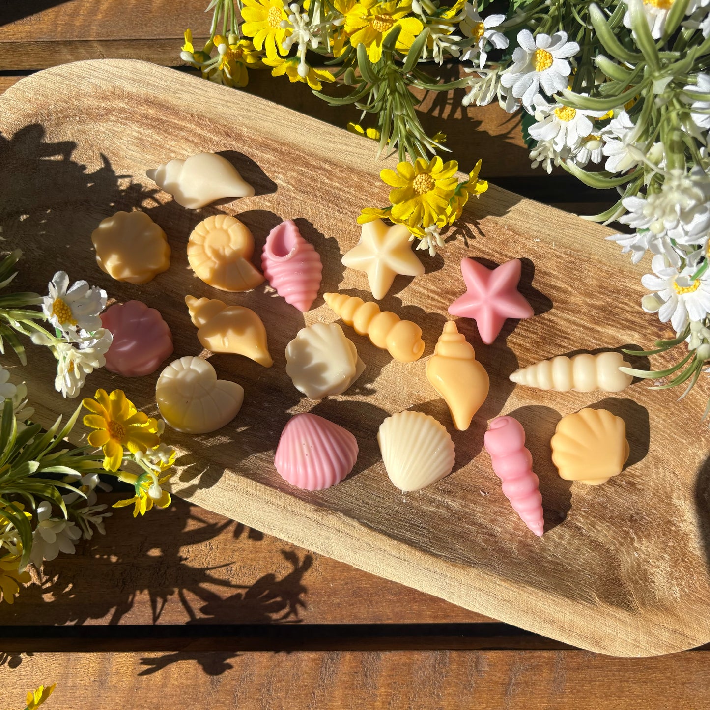 Fondant coquillage