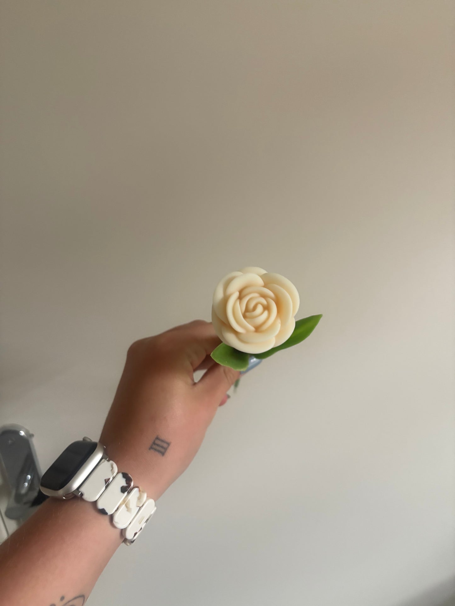 Rose sur tige
