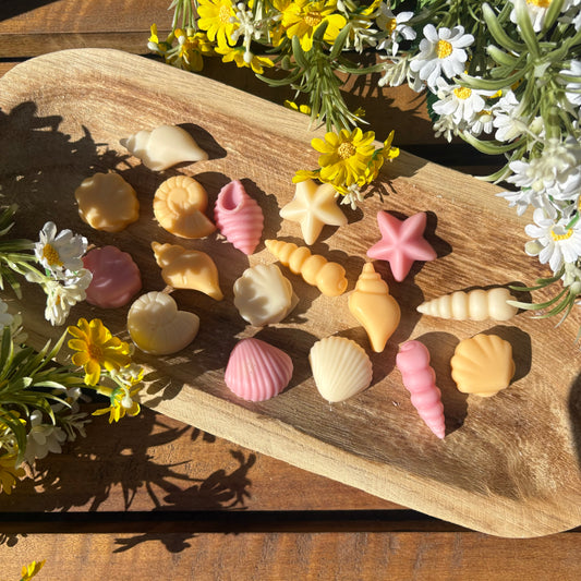 Fondant coquillage