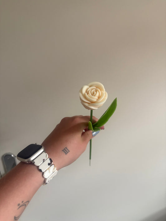 Rose sur tige