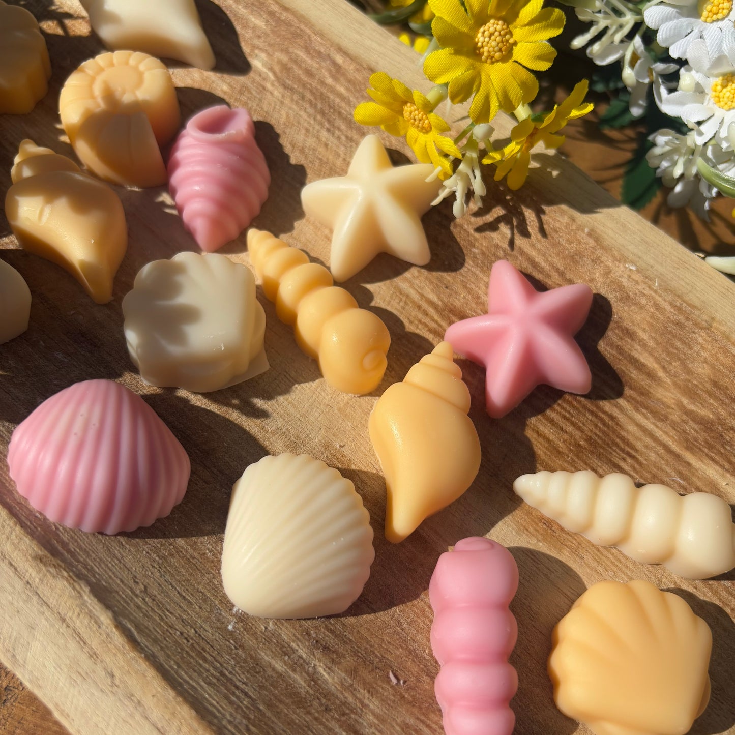 Fondant coquillage