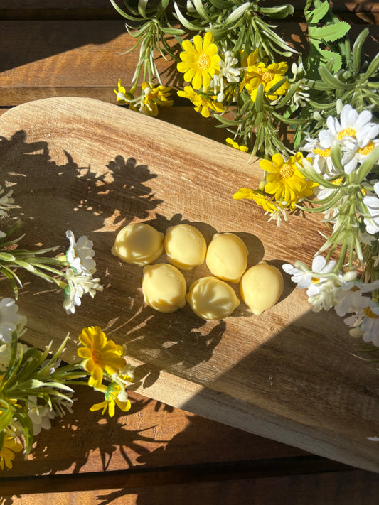 Fondant Citronnelle 🍋🦟